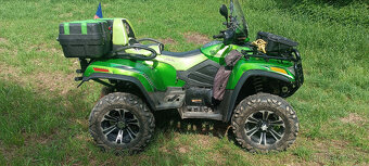 Arctic Cat - 6