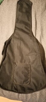 Akustická Kytara M.Parker - 6