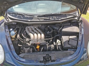 VW New Beetle - 6
