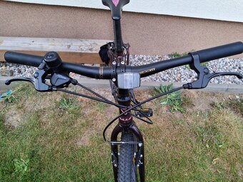 Amulet Tomcat 24" - 6