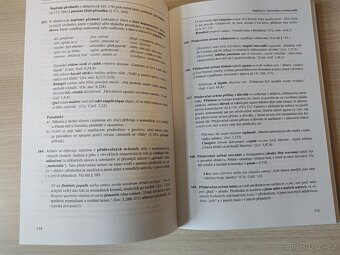 Dirk Panhuis – Gramatika latiny - 6