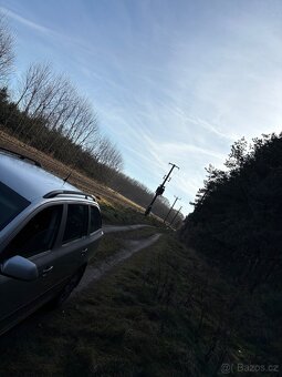 lesní pozemek v Břeclavi možnost elektriky a chaty - 6