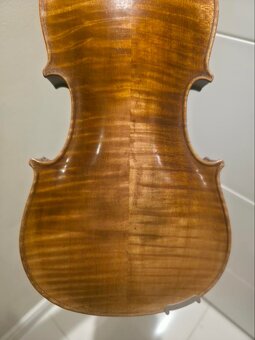 Stainer housle 3/4 - 6