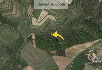 Prodej pole v k.ú. Nikolčice - 6