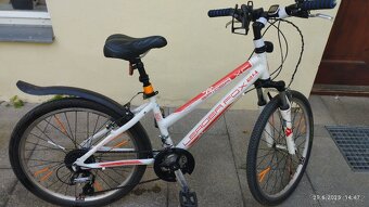 kolo 24" Leader Fox - 6