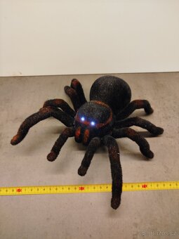 PRODÁM TARANTULI NA DO - 6