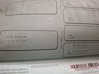 ČT klisna - 6