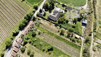 Prodej, Pozemky, Vinný sklep, Ubytování, 528 m2 - Mikulov - 6