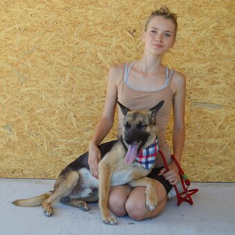 Norton hledá domov - 6