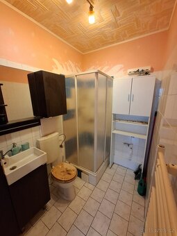 2+1 Podkrovní byt 35m² - 6