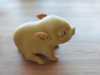 Když to vydržíš do večera nepapat, tak uvidíš zlaté prasátko - 6