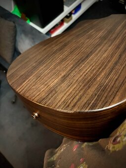 Kytara Furch Pioneer ER + L.R.Baggs - 6