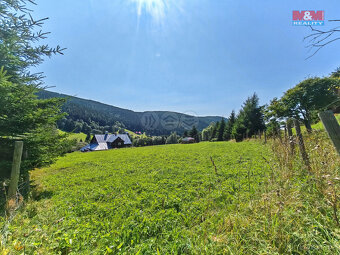 Prodej louky, 2445 m², Malá Úpa - 6