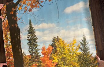 Obrazová tapeta Podzimní romance - 6