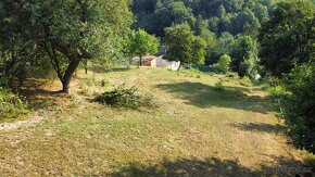 Stavební pozemek Jankovice se zahradou a sadem 10 086m2 - 6