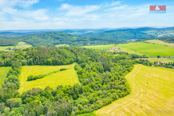 Prodej lesa, 2518 m², Chyňava - 6