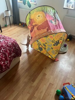 Mainská mývalí bez PP - 6