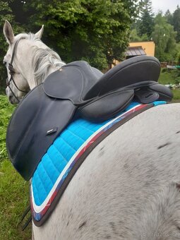 Sedlo Wintec - 16" posedlí - 6