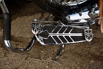 Indian Springfield “ 2019 - 6