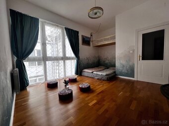 1+KK 26m2 Vinohrady vhodne pro Masaze - 6