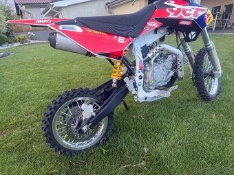 Pitbike YCF Pílot SF 155 - 6