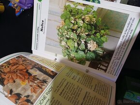 Pokojové květiny od A do Z - 6