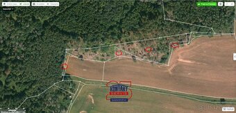 Lesní pozemky v Křepenicích - investice do přírody s potenci - 6