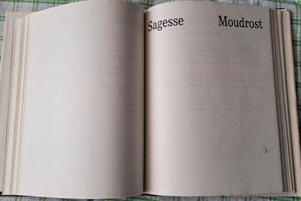 Kniha Záludná luna - P. Verlaine - 6