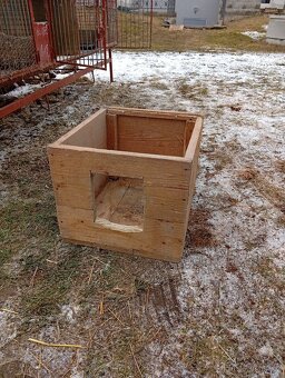 8 mi kotcova kralikarna - 6