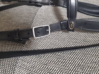 Hackamore - 6