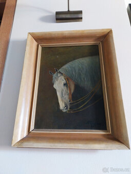 Olej na desce, hlava koně, 70tá léta - 6