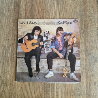 21x LP vinyl, české, různé žánry #3 - 6