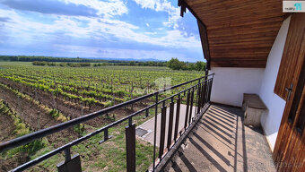 Prodej vinného sklepu s vinohradem, 941 m2, Pod Panskýma, Ve - 6