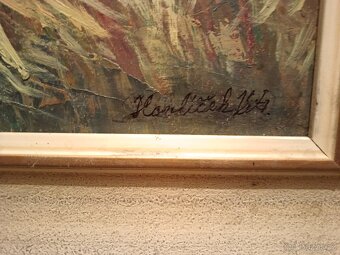 Obrazy Havlíčka Víta - 6