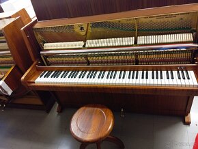 August Forster mod.105- Dovoz po ČR zdarma 24/7 - 6