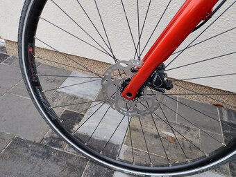 Pells BRB Elite 2020 - 6