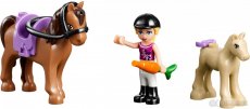 LEGO 41039 Friends - Slunečný ranč (Sunshine Ranch) - 6