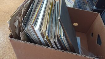 Větší množství LP Vinyl desek - různé - 6