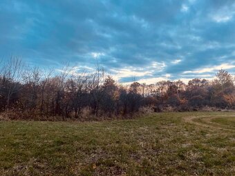 Pozemok - Lúka, Malé Leváre, 26 385 m² - 6