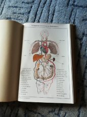 Neuer Hausschatz der Heilkunde-Nový poklad medicíny - 6