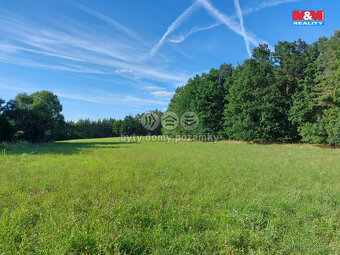 Prodej lesa, 4924 m², Paceřice - 6