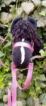 Hobby horse - 6