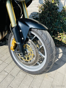 Triumph Tiger 1050 r.v.2008 - 6