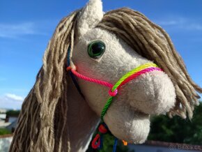 Hobby horse - 6