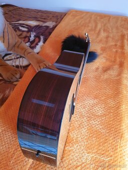 KYTARA YAMAHA DW 15 DREADNOUGHT CELOMASIV - 6