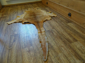 DEKORATIVNÍ LUXUSNÍ PRAVÁ KOŽEŠINA KLOKAN - AUSTRÁLIE - 6