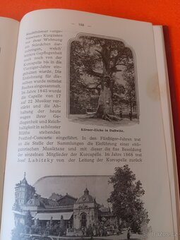 Karlsbad-Dr.Josef Ruff 1899 - 6