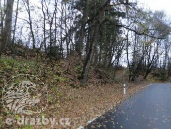Pozemky - ostatní plocha 49 617 m2 , obec Vlašim, okr. Beneš - 6