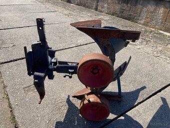 Pluh jednoradličný - 6