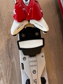 Sjezdové lež Carpathia 175 cm - 6